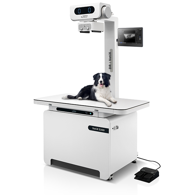 rayos portada